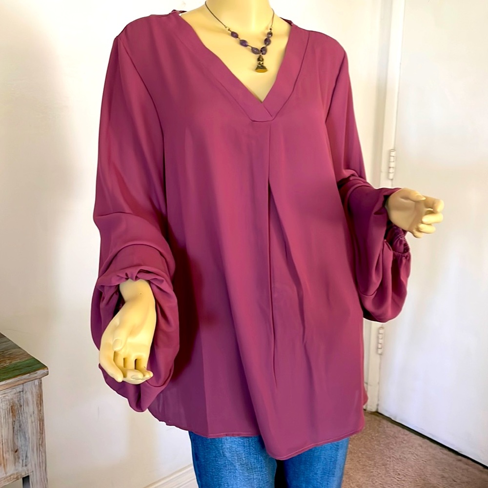 NWOT beautiful v neck balloon sleeve blouse